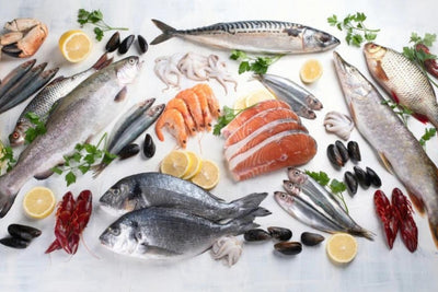 Why Fresh Seafood Should Be Your Go-To Choice for Healthy Eating