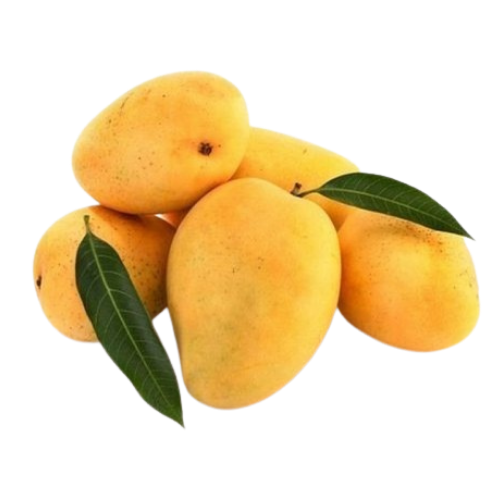 ALPHONSO MANGOES