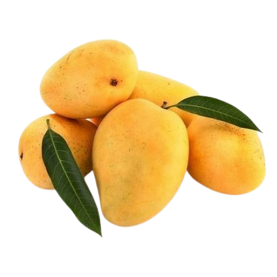 ALPHONSO MANGOES