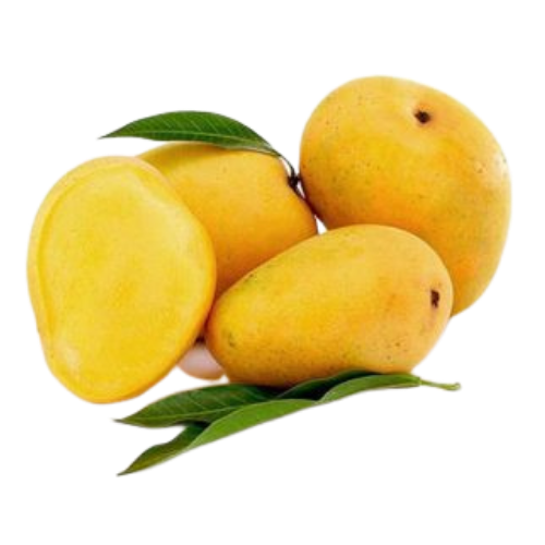 RASHBHARI MANGOES