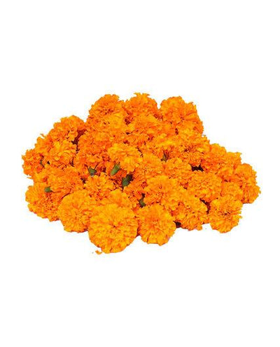 Buy Marie Gold Flower Orange for Onam Online from Lakshmi Stores, UK