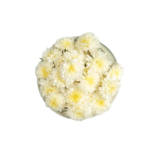 CHRYASANTHEMUM (SEVVANTHI) FLOWER 100G