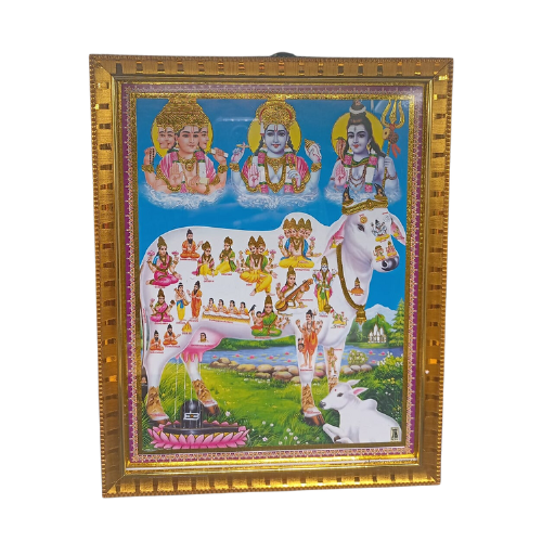 HINDU GOD PHOTO A4 SIZE with FRAME - KAMADENU