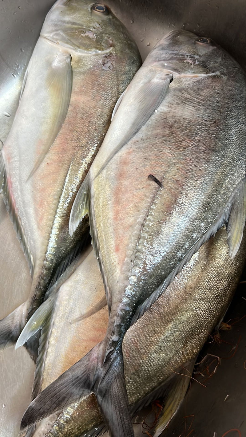 FRESH KARUNKANNI PAARAI CLEANED 1KG