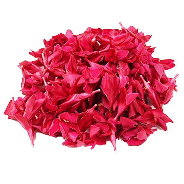 Buy Red Arali Flower for Onam Online from Lakshmi Stores, UK