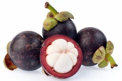 MANGOSTEEN FRUIT 250G