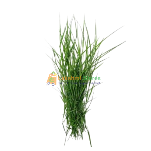 Buy ARUGAMPUL (GRASS) Online in UK