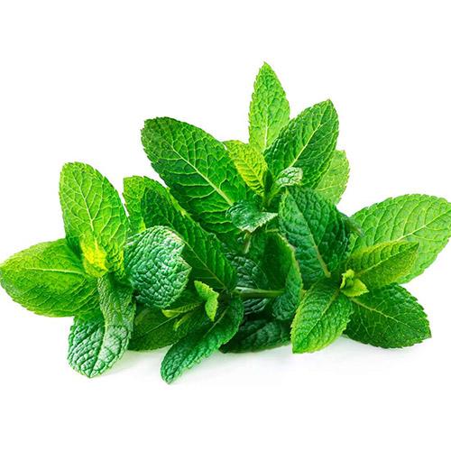 Buy MINT LEAVES (PUDINA KEERAI) Online in UK