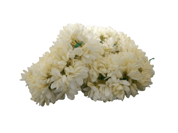 JASMINE FLOWER (MULLAI) 1 FT (30CM)