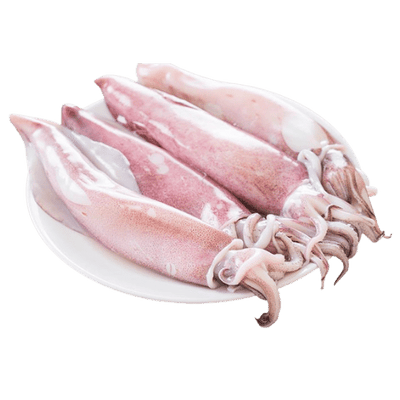 SQUID (KANAVAI FISH) - CLEANED 1KG