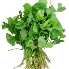 Buy CENTELLA ASIATICA (VALLARAI) BUNCH Online in UK