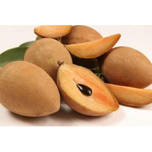 Buy SAPOTA (CHIKOO) Online in UK