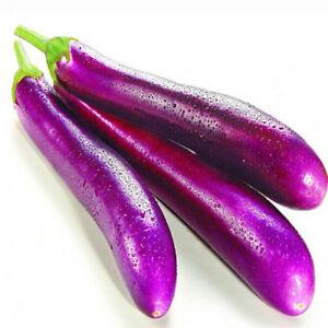 Buy LONG AUBERGINE (SRILANKAN KATHIRIKKAI) Online in UK